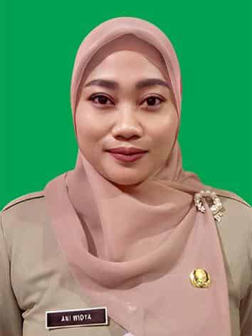 Ani Widya