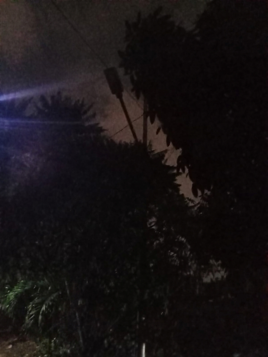 Penerangan Wilayah Semakin Optimal, PPSU Kamal Muara Pastikan Lampu PJU di Samping Gedung Danantara Kembali Berfungsi 1