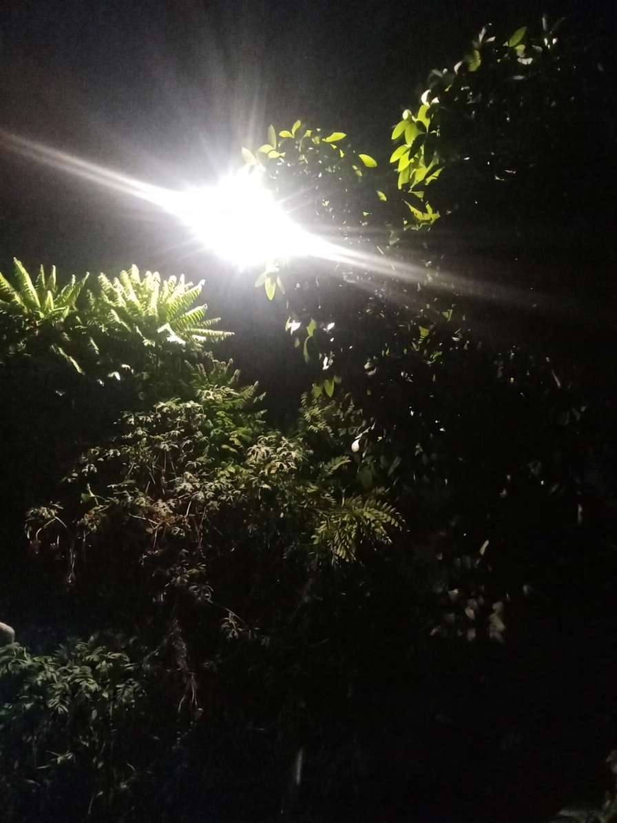 Penerangan Wilayah Semakin Optimal, PPSU Kamal Muara Pastikan Lampu PJU di Samping Gedung Danantara Kembali Berfungsi 2