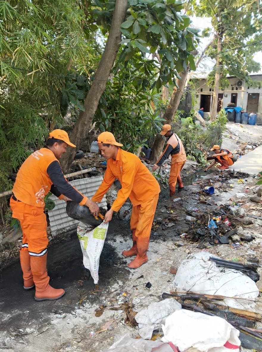 PPSU Kamal Muara Bergerak Cepat Bersihkan Saluran Air di Gang Tongkol, Wujudkan Lingkungan Bersih dan Lancar 4