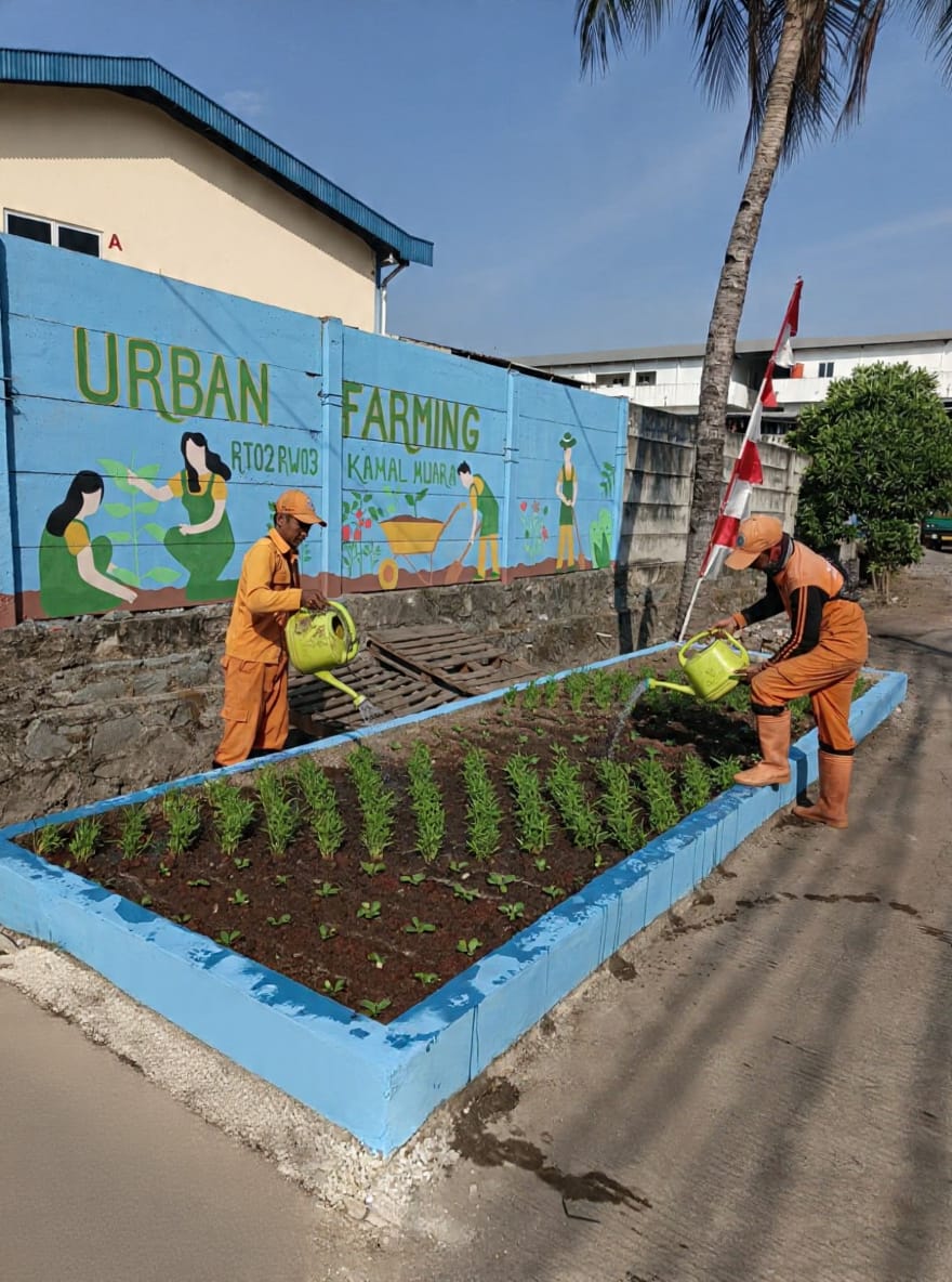 PPSU Kamal Muara Rawat Urban Farming RW 003, Perkuat Kepedulian terhadap Lingkungan Hijau 4