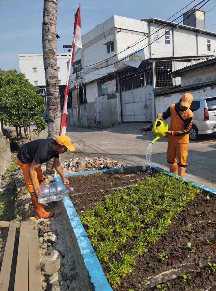 PPSU Kamal Muara Rawat Urban Farming RW 003, Perkuat Kepedulian terhadap Lingkungan Hijau 3