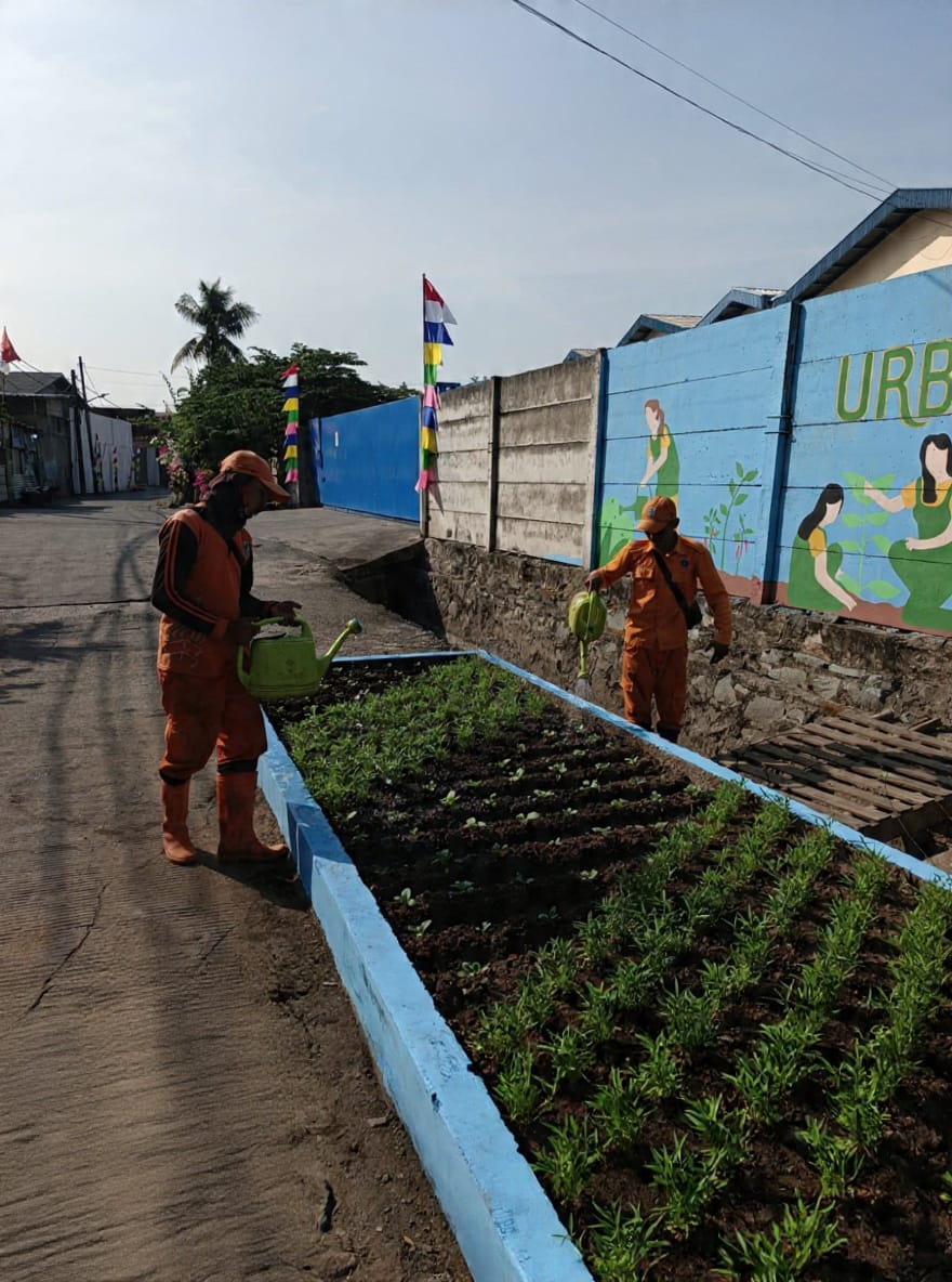PPSU Kamal Muara Rawat Urban Farming RW 003, Perkuat Kepedulian terhadap Lingkungan Hijau 1