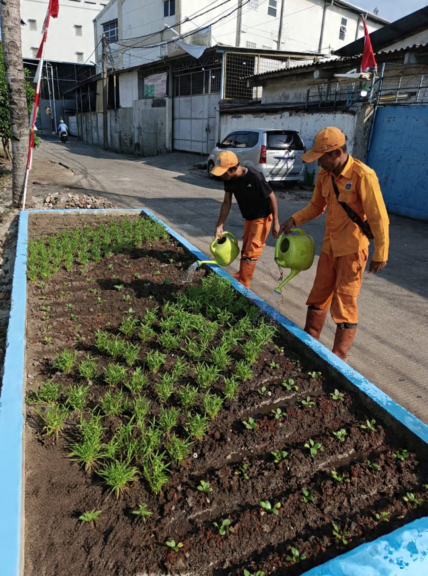PPSU Kamal Muara Rawat Urban Farming RW 003, Perkuat Kepedulian terhadap Lingkungan Hijau 2