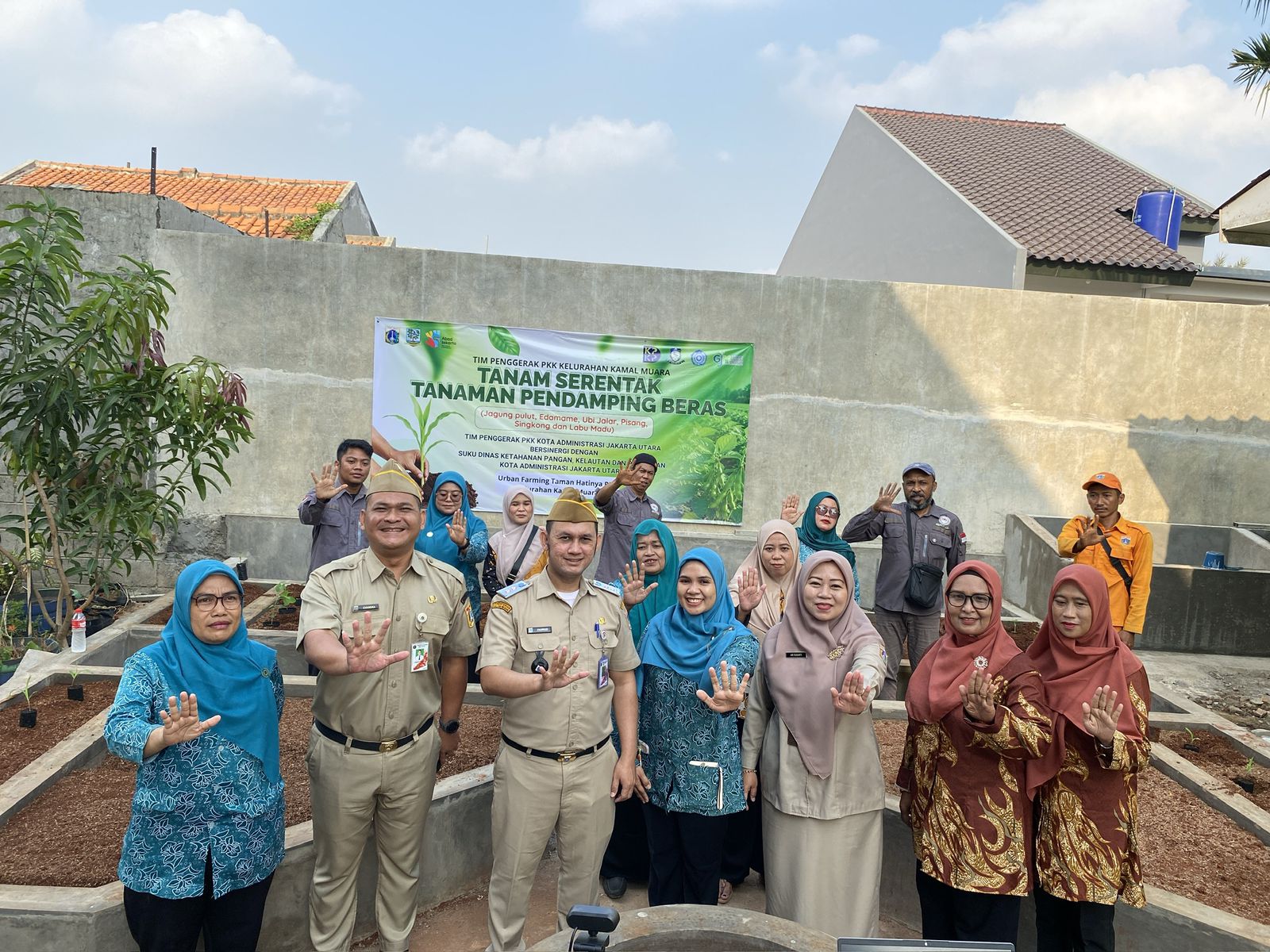 Tanam Serentak Tanaman Pendamping Beras, Kelurahan Kamal Muara Perkuat Ketahanan Pangan dari Lingkungan 4