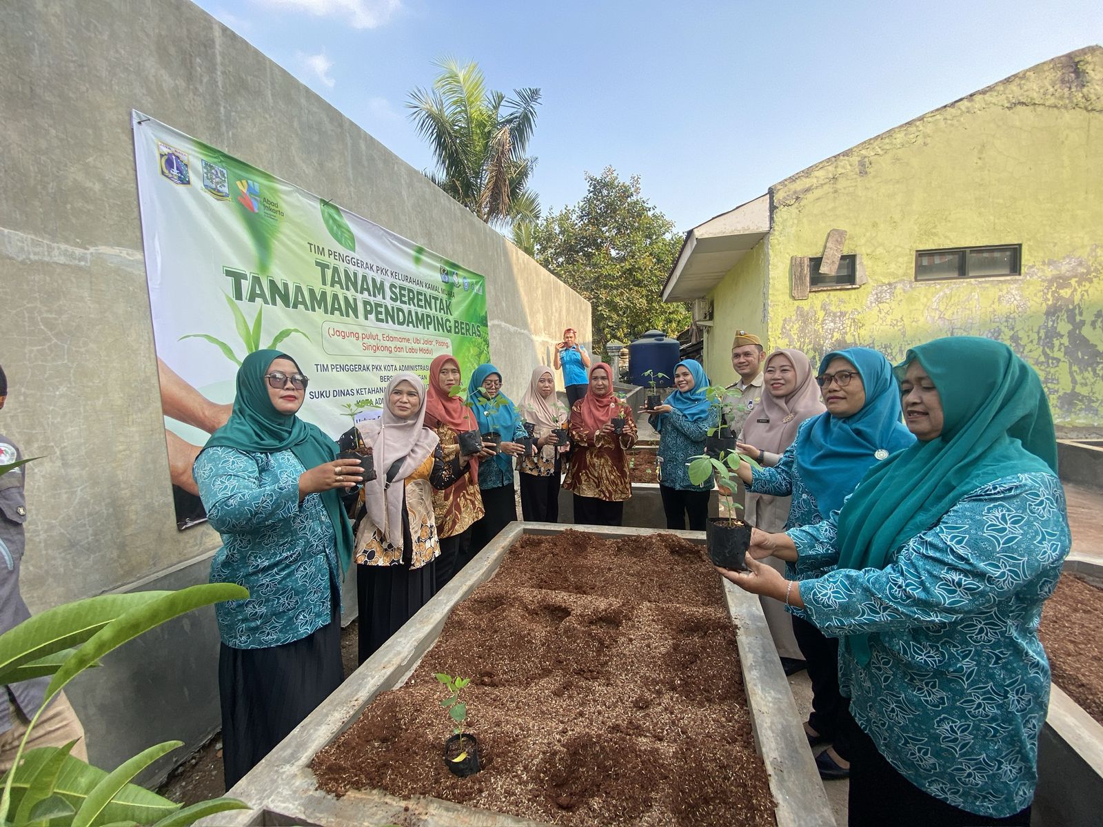 Tanam Serentak Tanaman Pendamping Beras, Kelurahan Kamal Muara Perkuat Ketahanan Pangan dari Lingkungan 3