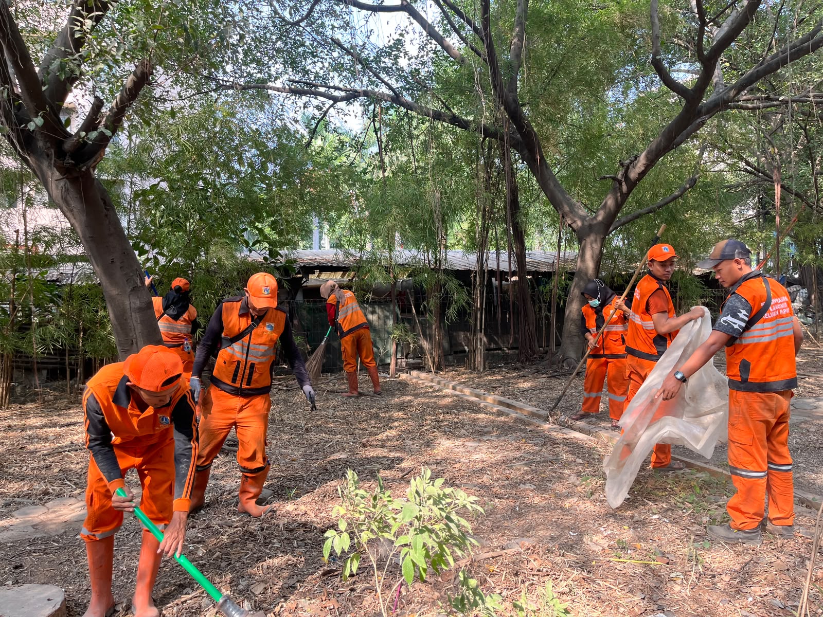Kerja Bakti di RW 006, Kelurahan Papanggo Perkuat Kepedulian Warga terhadap Kebersihan Lingkungan 3