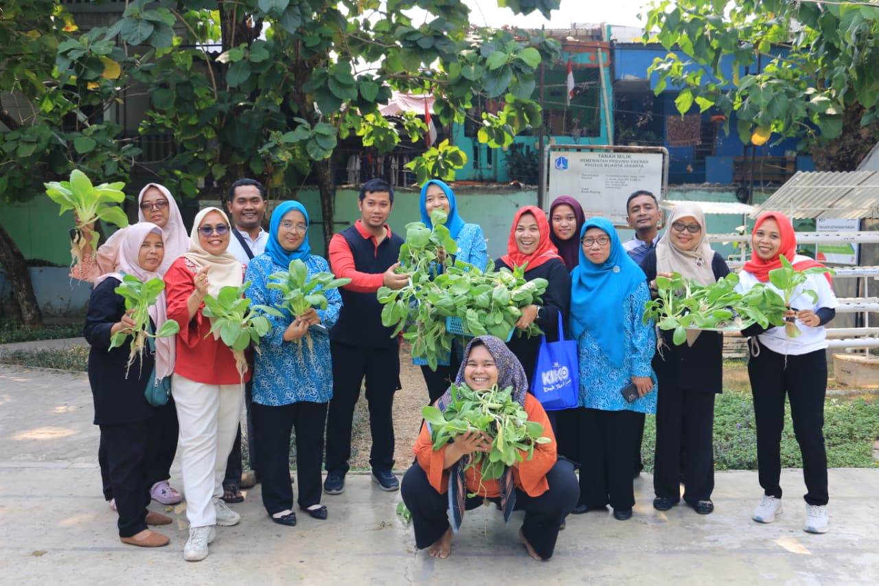 Kegiatan panen edamame, cabai, dan pakcoy dilaksanakan di Kantor Kelurahan Sunter Jaya 1