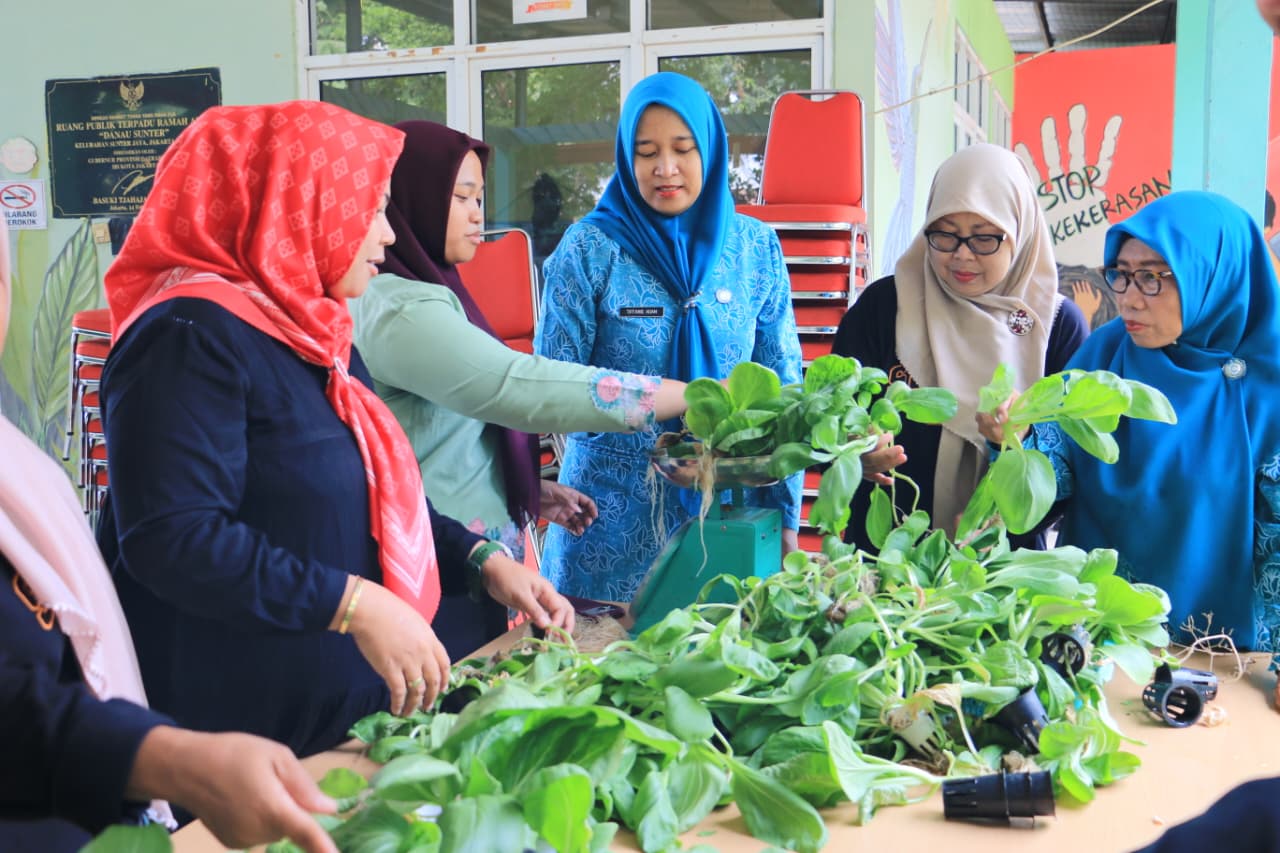 Kegiatan panen edamame, cabai, dan pakcoy dilaksanakan di Kantor Kelurahan Sunter Jaya 4