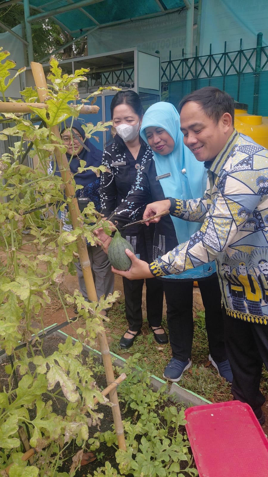 Kelurahan Sunter Agung melaksanakan kegiatan panen 6