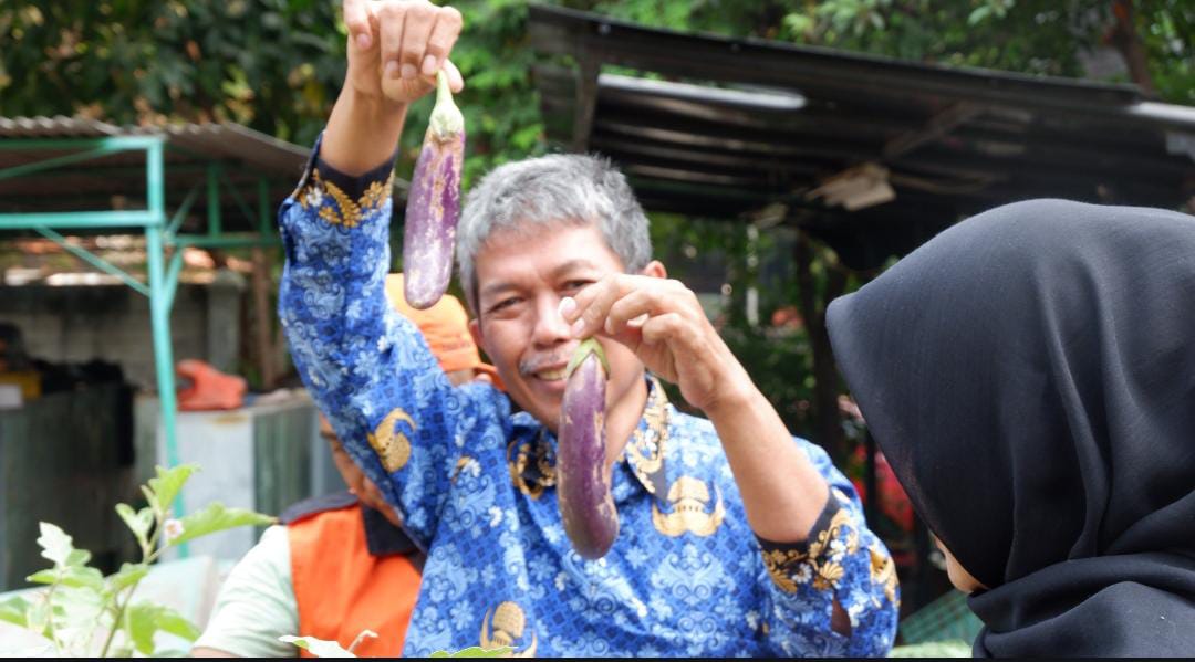 Panen Ikan, Cabe, Terong dan Melon di Kantor Kelurahan Sunter Agung 4