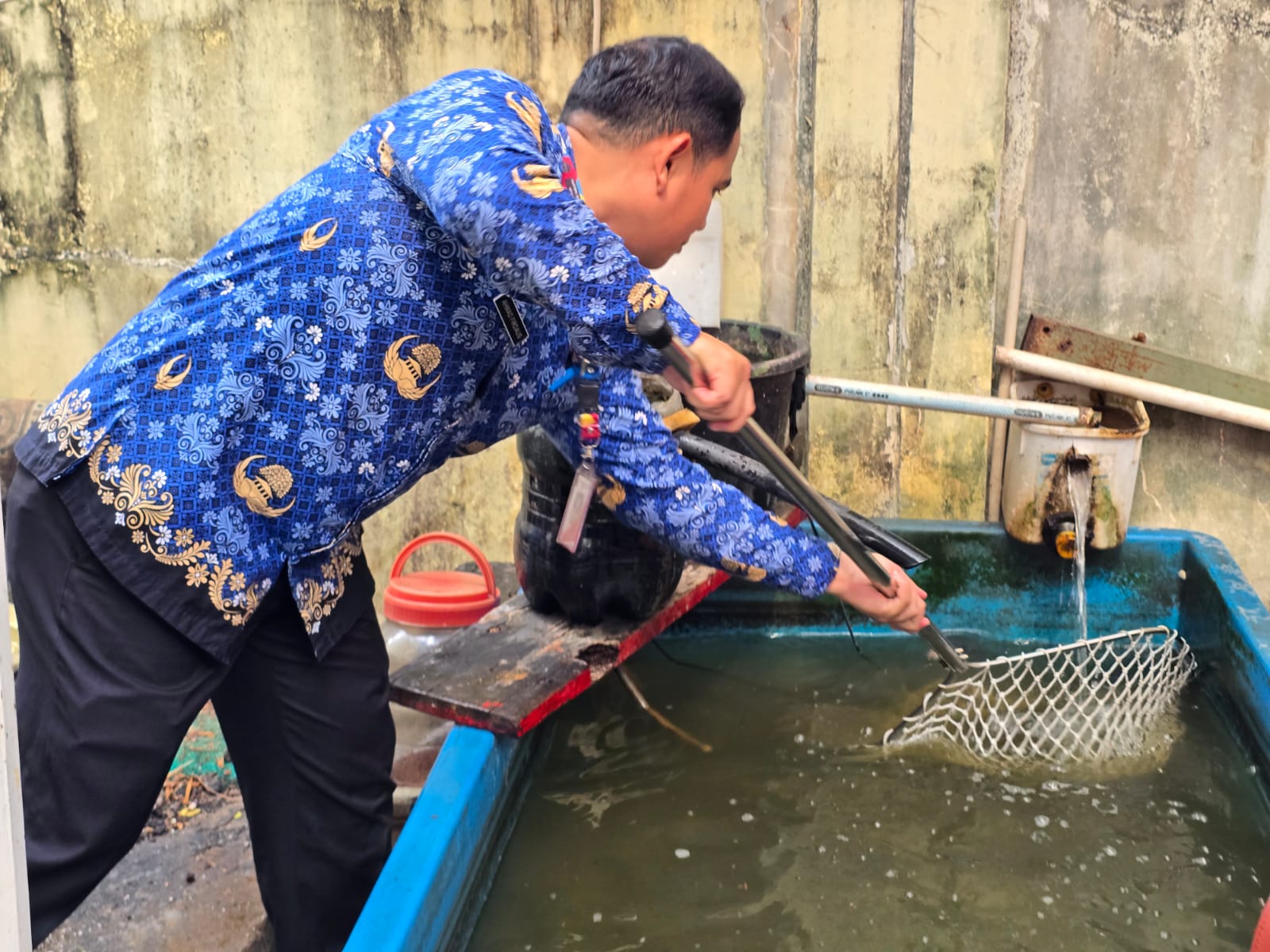 Panen Ikan, Cabe, Terong dan Melon di Kantor Kelurahan Sunter Agung 6