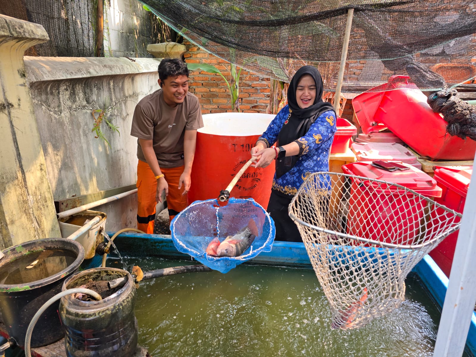 Panen Ikan, Cabe, Terong dan Melon di Kantor Kelurahan Sunter Agung 2
