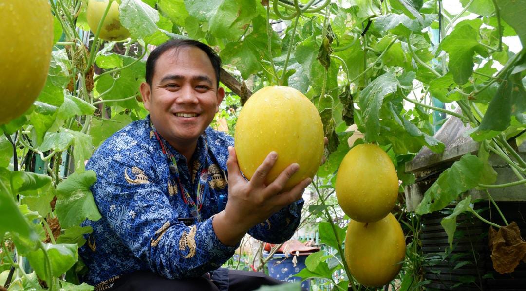 Panen Ikan, Cabe, Terong dan Melon di Kantor Kelurahan Sunter Agung 5