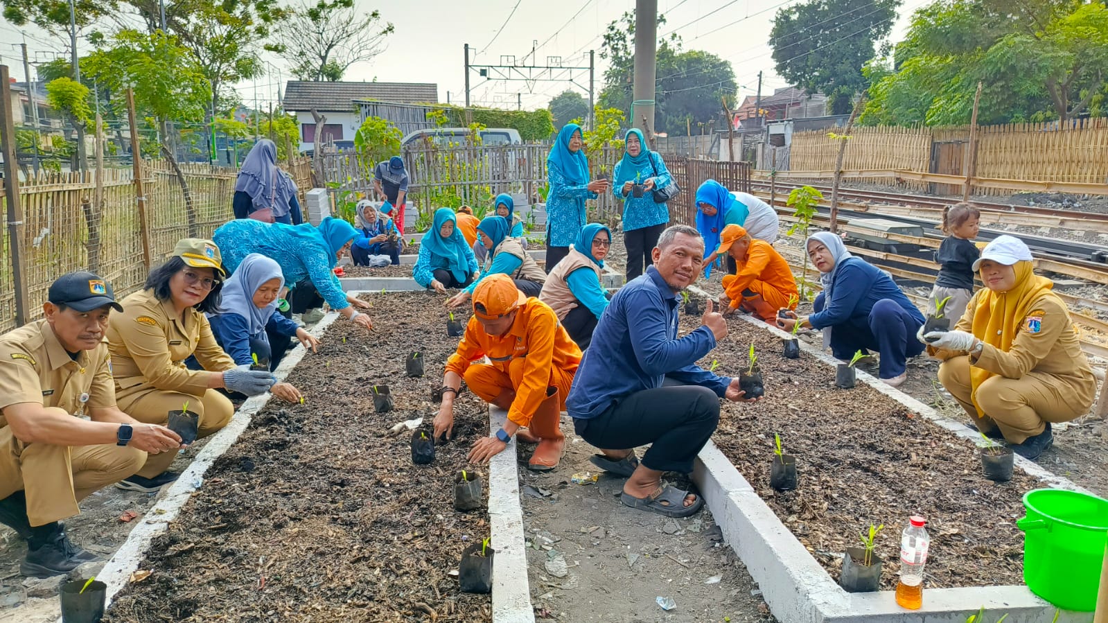 encanangan Gerakan Tanam Serentak Tanaman Pangan Pendamping Beras se-DKI Jakarta 4