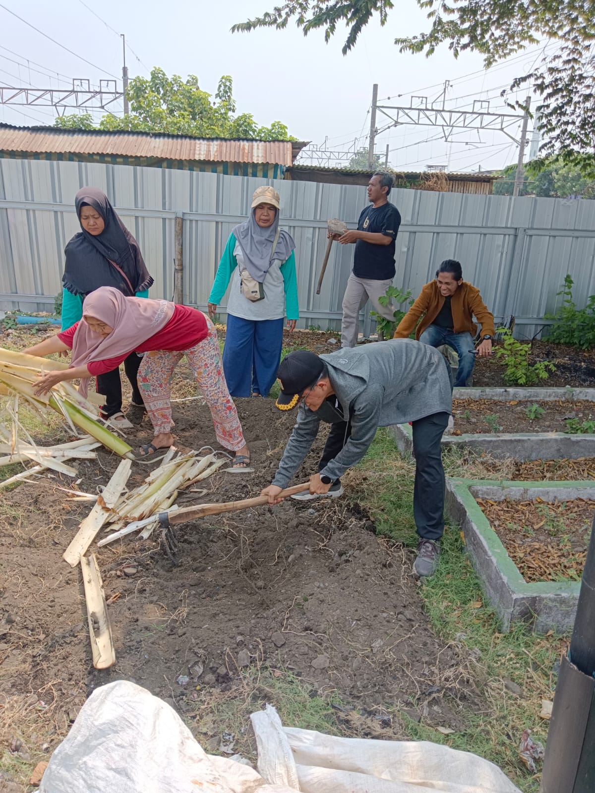 Sosialisasi Urban Farming bersama Universitas Indonesia di RW. 07 Kelurahan Tanjung Priok 3