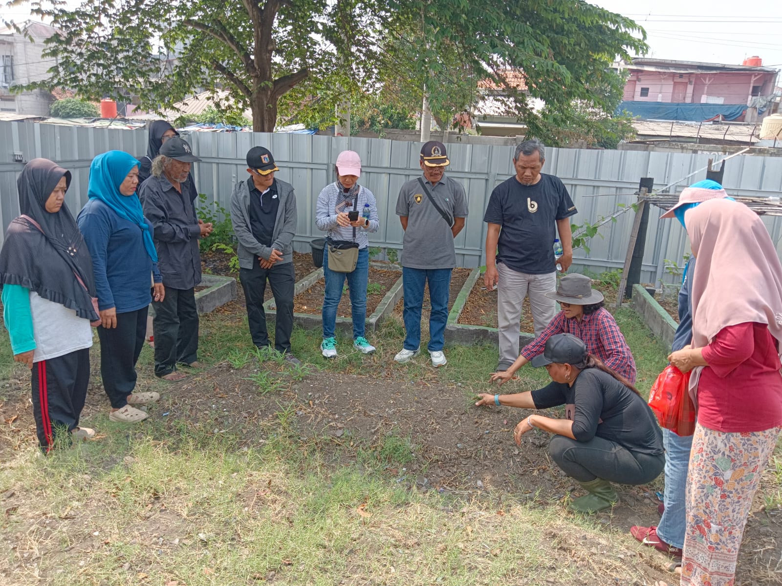 Sosialisasi Urban Farming bersama Universitas Indonesia di RW. 07 Kelurahan Tanjung Priok 2