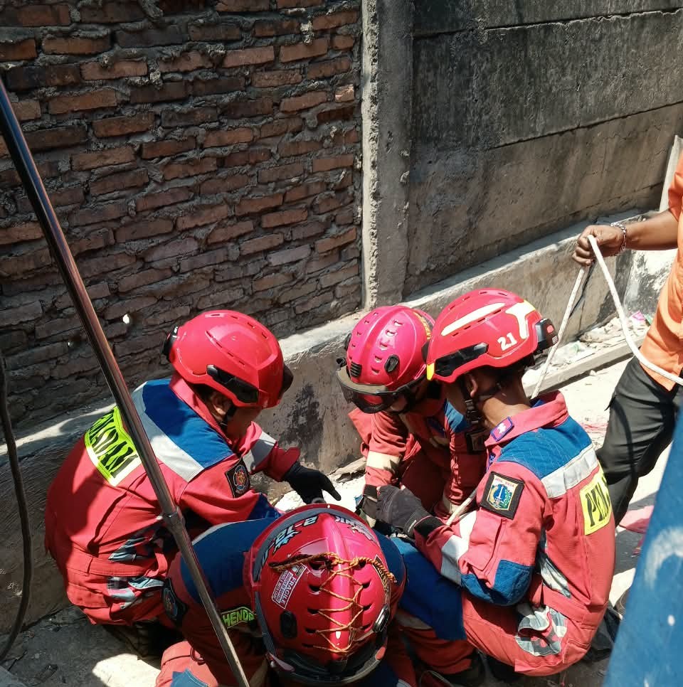 Evakuasi Buaya di Wilayah RW. 012 Kelurahan Tanjung Priok 3