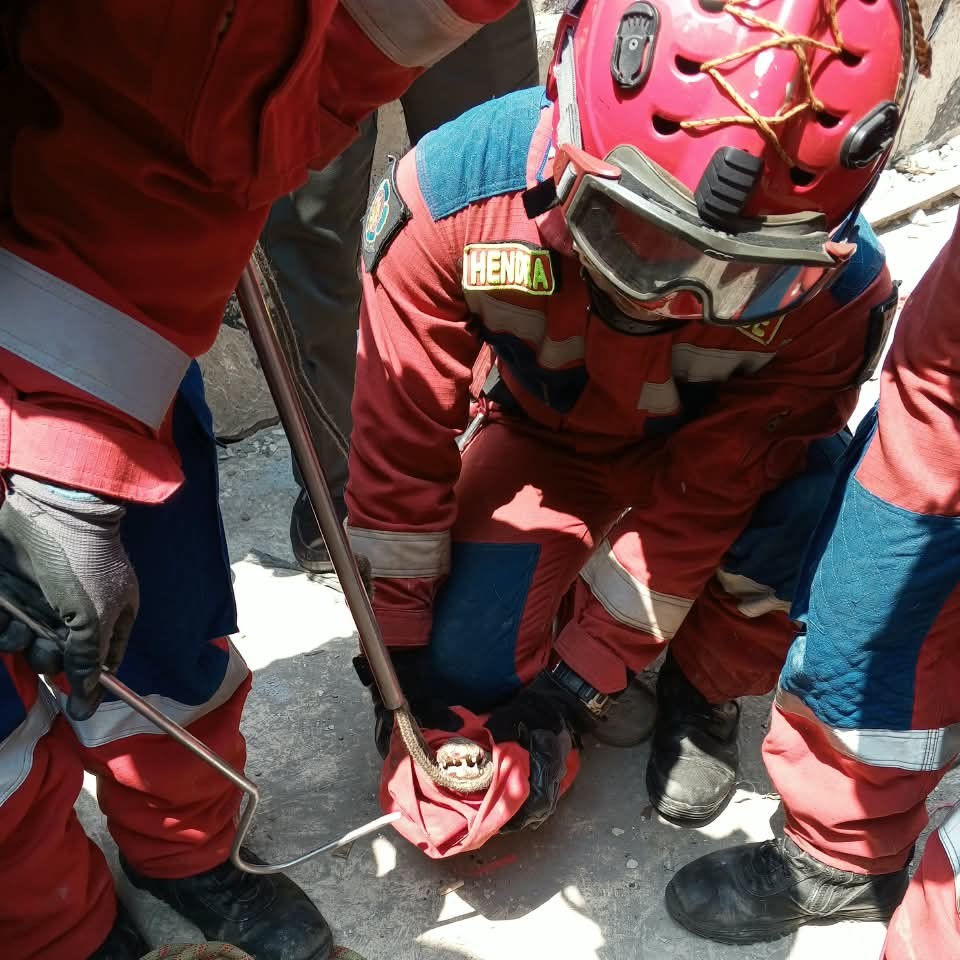 Evakuasi Buaya di Wilayah RW. 012 Kelurahan Tanjung Priok 5