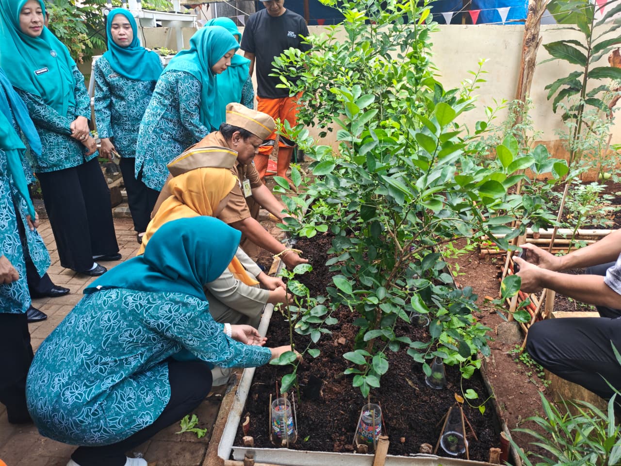 Kelurahan Lagoa Hadiri Pencanangan Gerakan Tanam Serentak Tanaman Pangan Pendamping Beras Se-DKI Jakarta Melalui Zoom Meeting 3