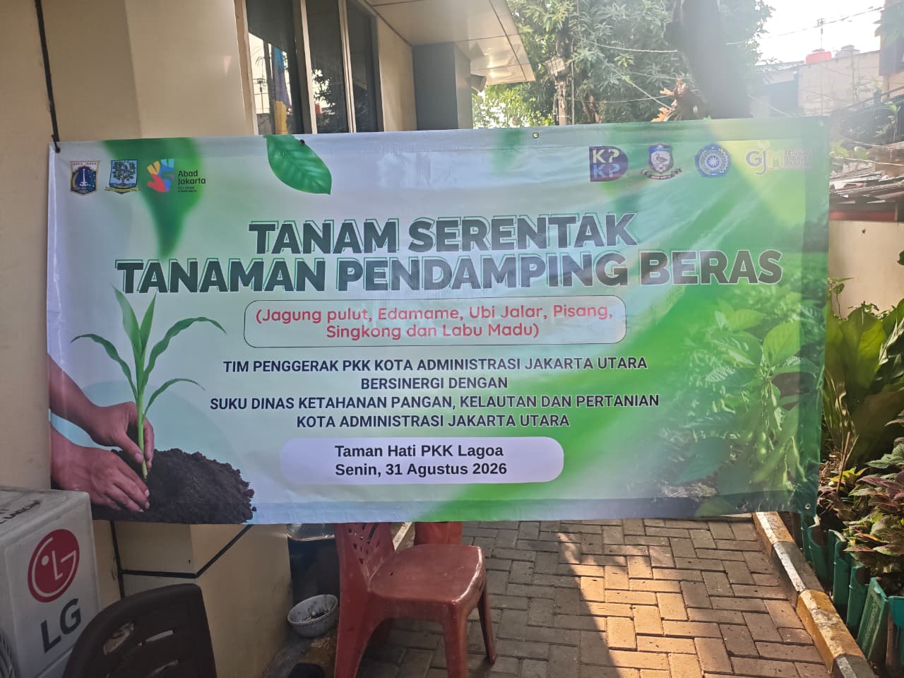 Kelurahan Lagoa Hadiri Pencanangan Gerakan Tanam Serentak Tanaman Pangan Pendamping Beras Se-DKI Jakarta Melalui Zoom Meeting 1