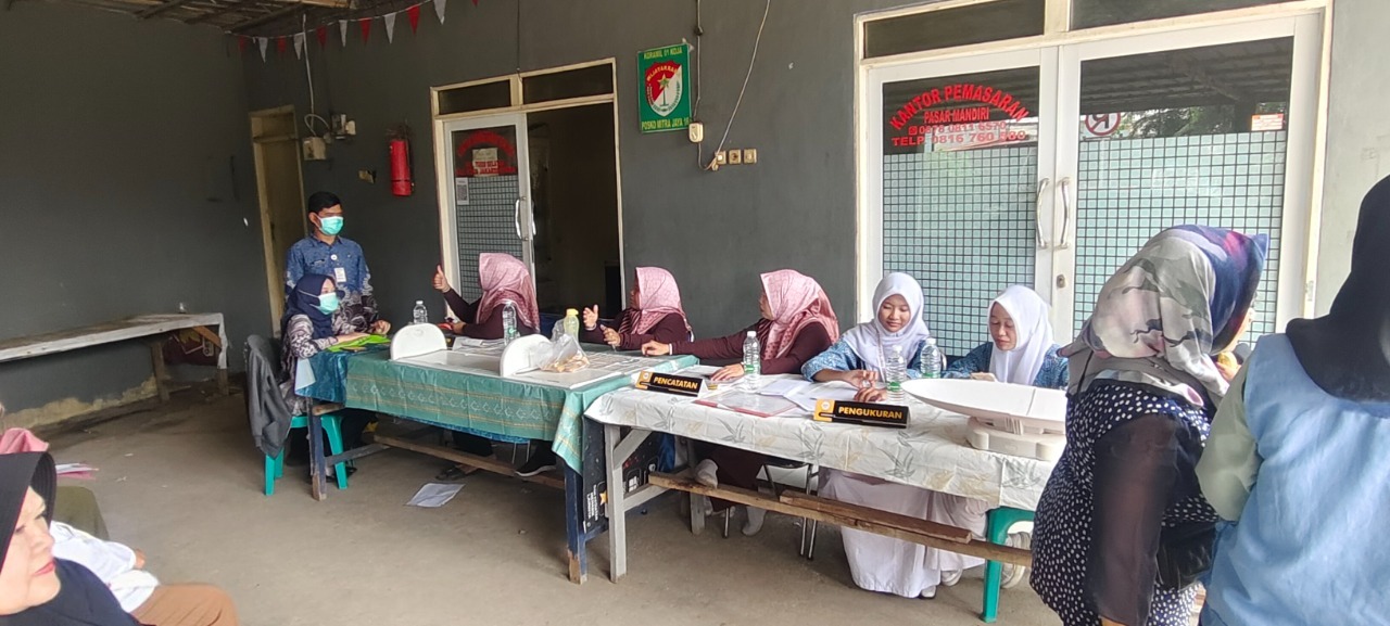 Monitoring Posyandu Kelurahan Tugu Selatan 3