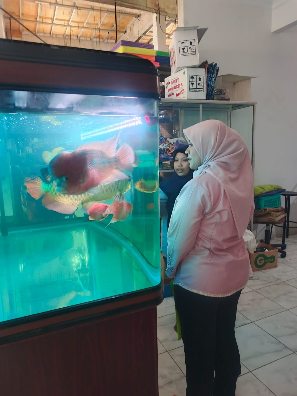 Pemberantasan Sarang Nyamuk (PSN) 4