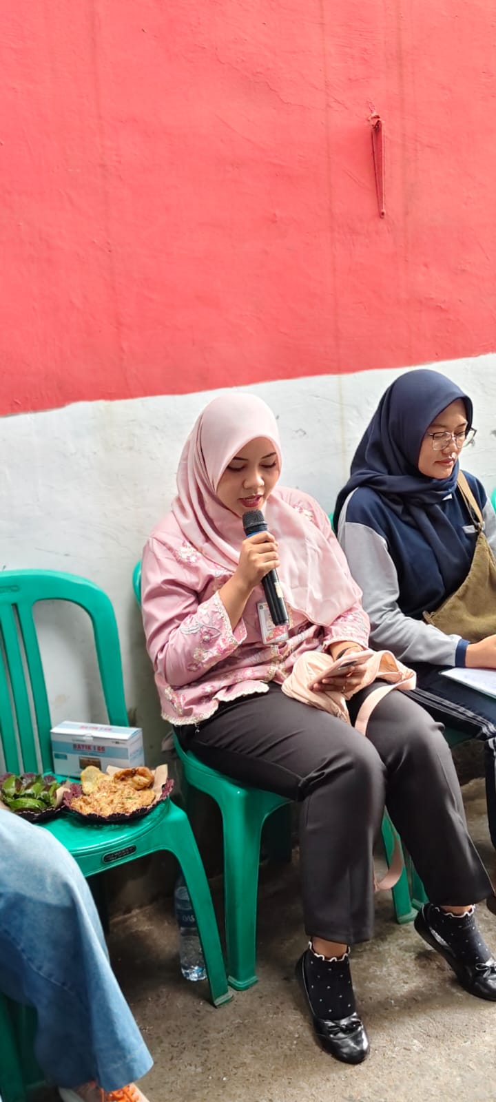 Pemberantsan Sarang Nyamuk (PSN) 1