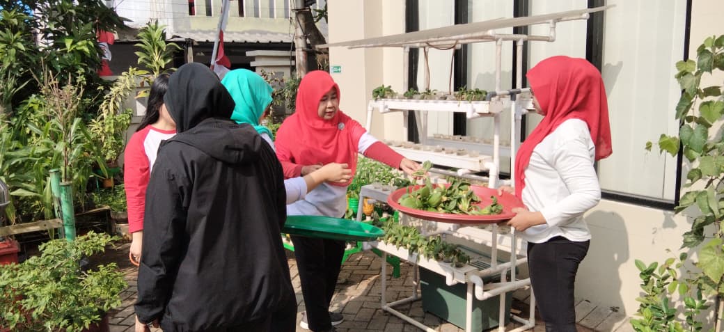 PANEN BERSAMA DI HALAMAN KANTOR KELURAHAN 1