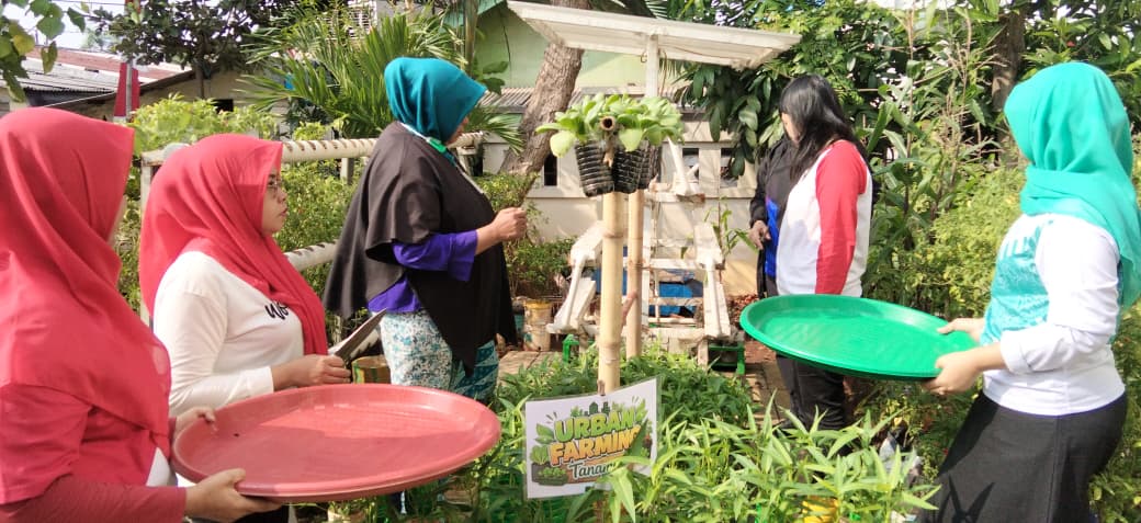PANEN BERSAMA DI HALAMAN KANTOR KELURAHAN 2
