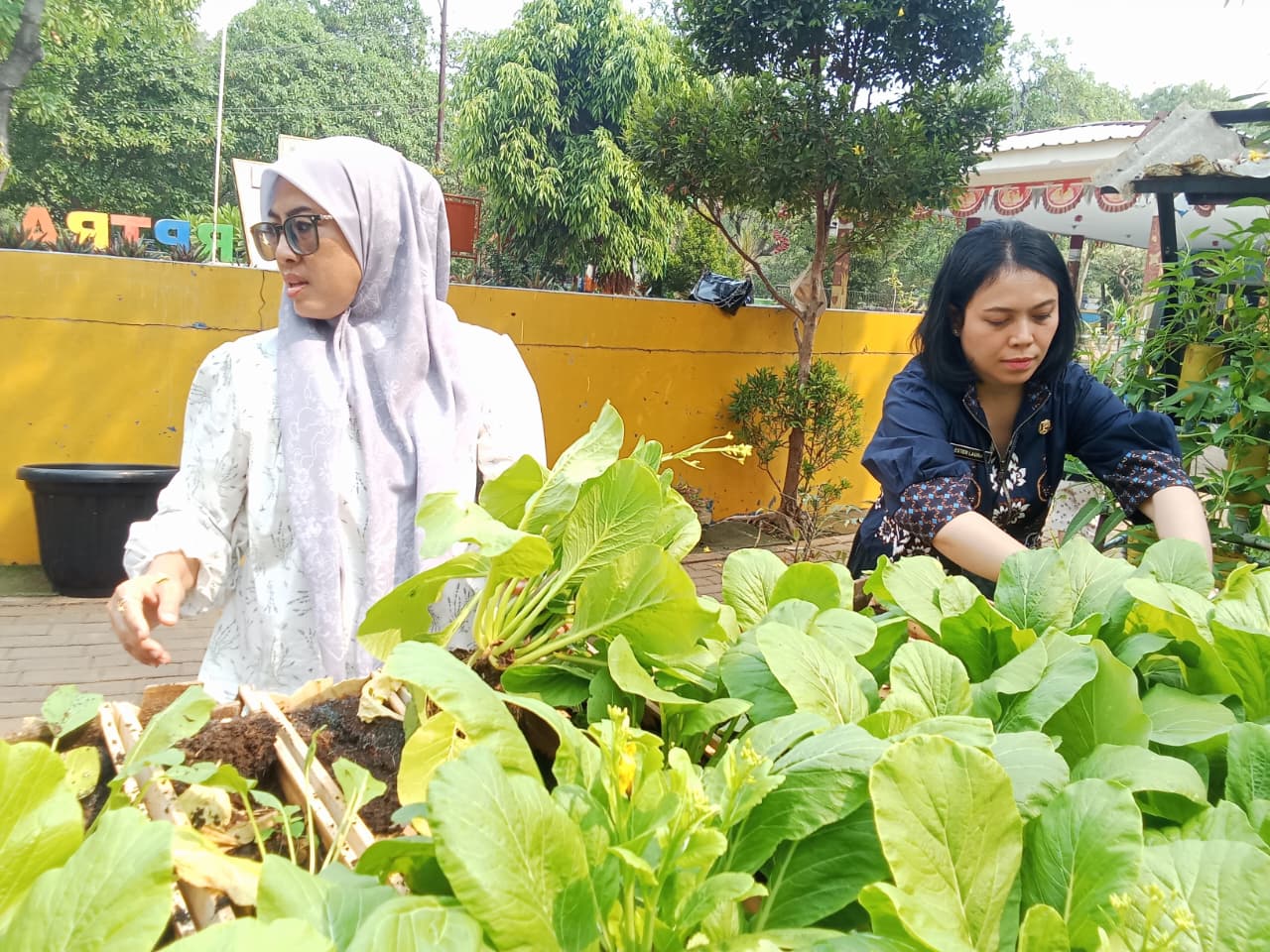 Panen Bersama di RPTRA Rawa Badak Utara 2