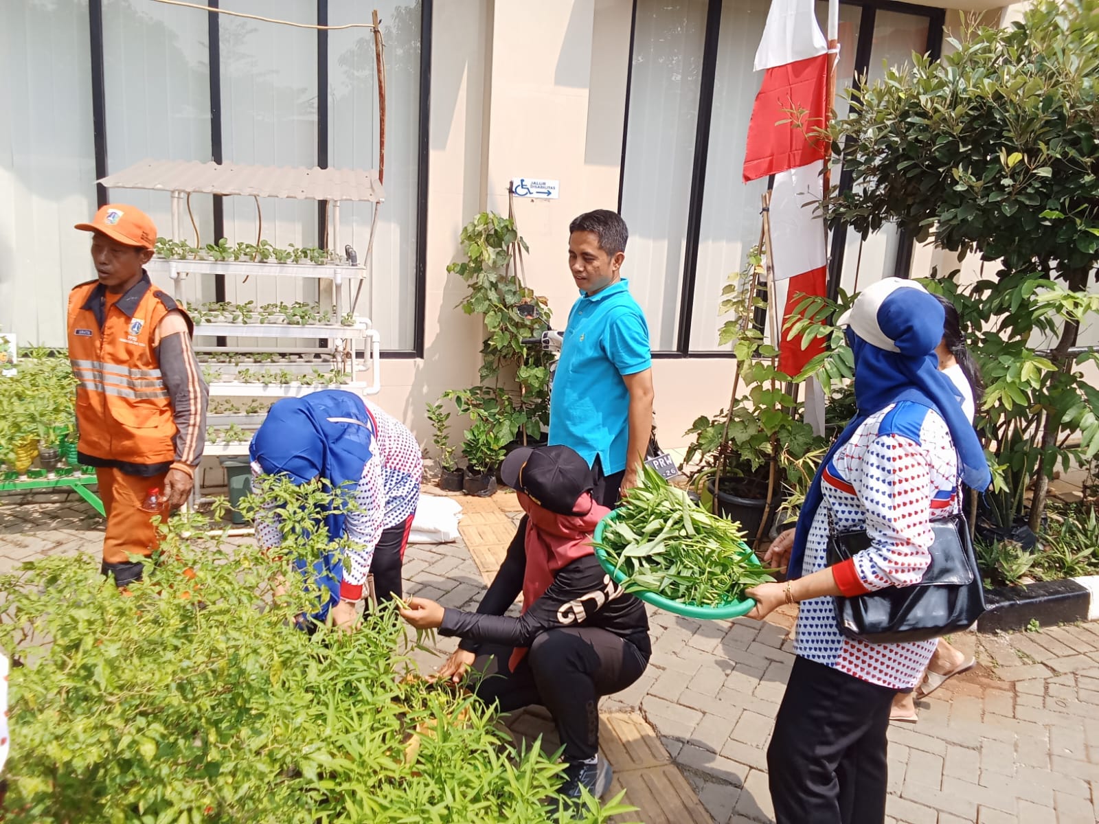 PANEN HASIL KEBUN KELURAHAN RAWA BADAK UTARA 1