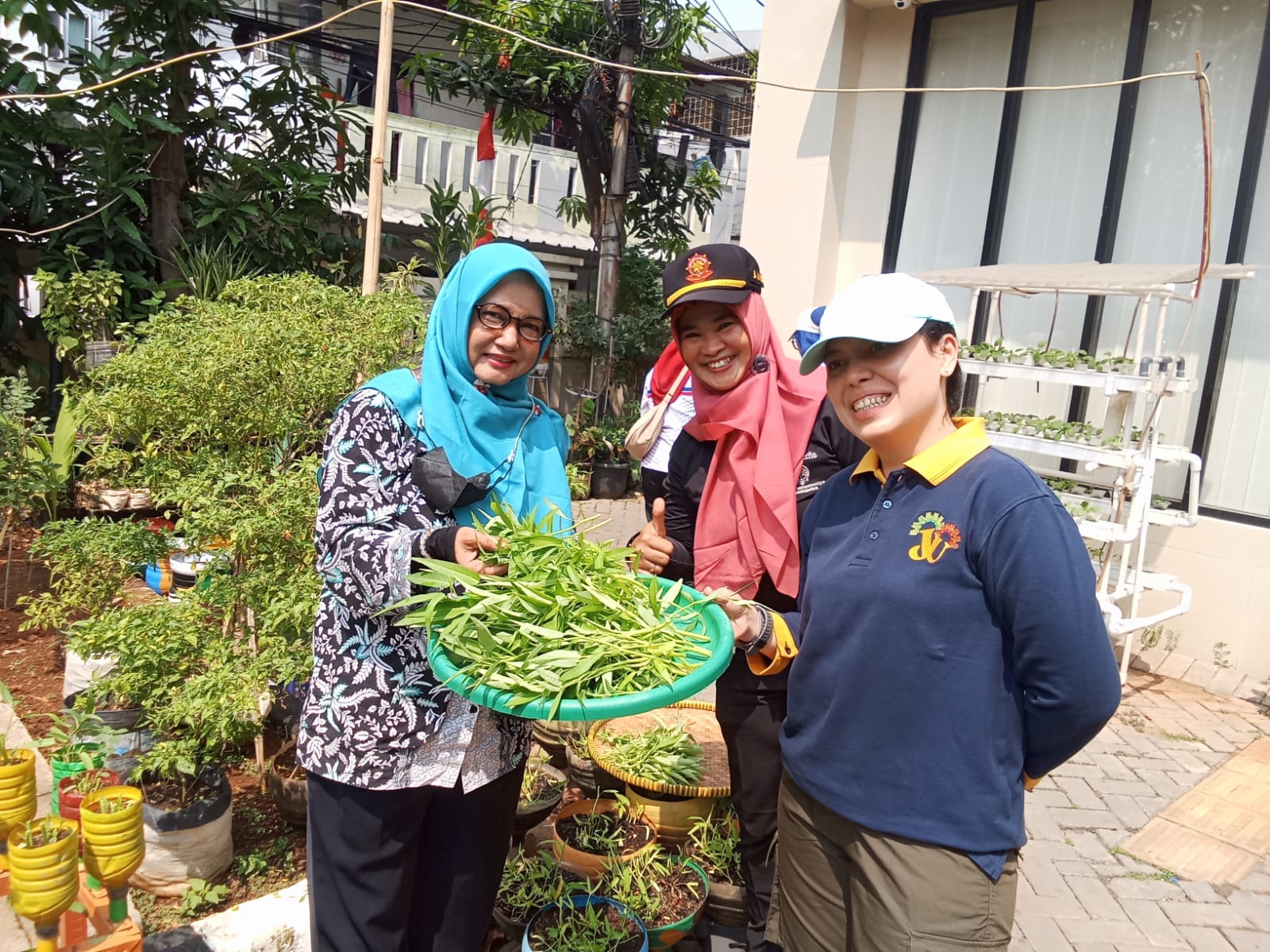 PANEN HASIL KEBUN KELURAHAN RAWA BADAK UTARA 5