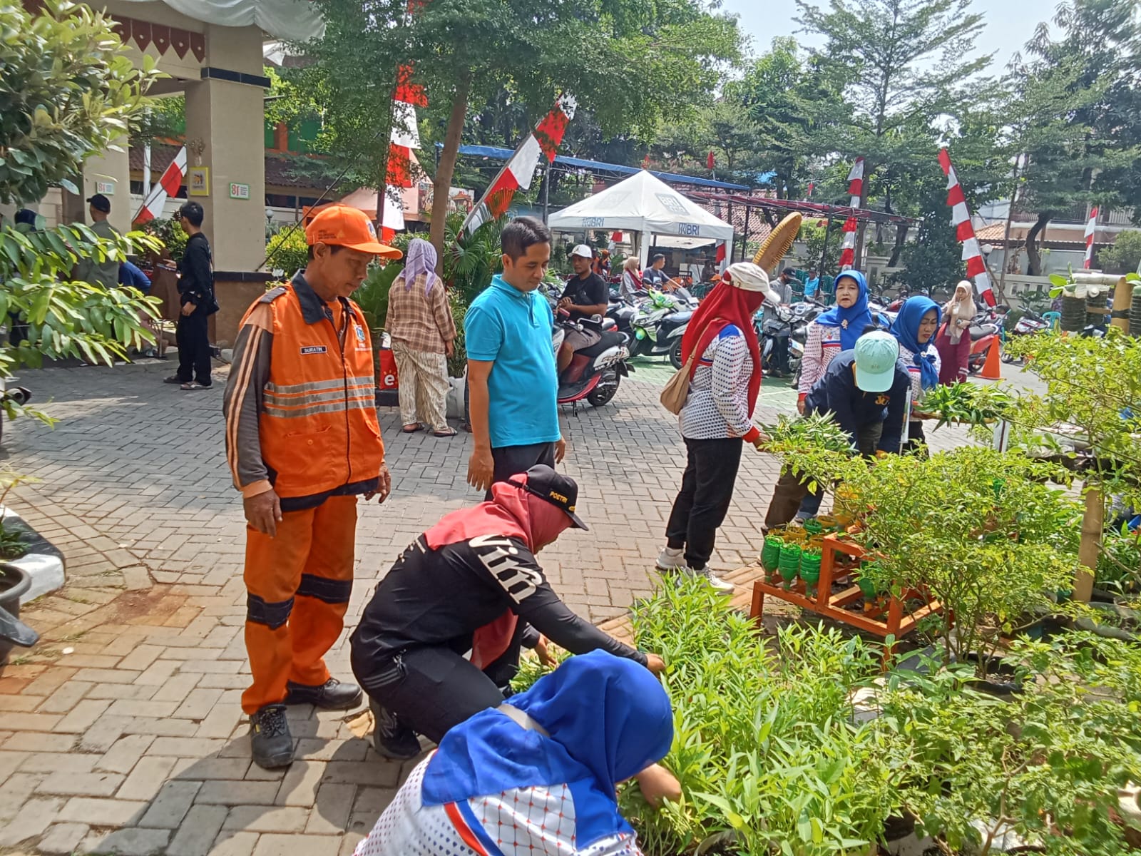 PANEN HASIL KEBUN KELURAHAN RAWA BADAK UTARA 3