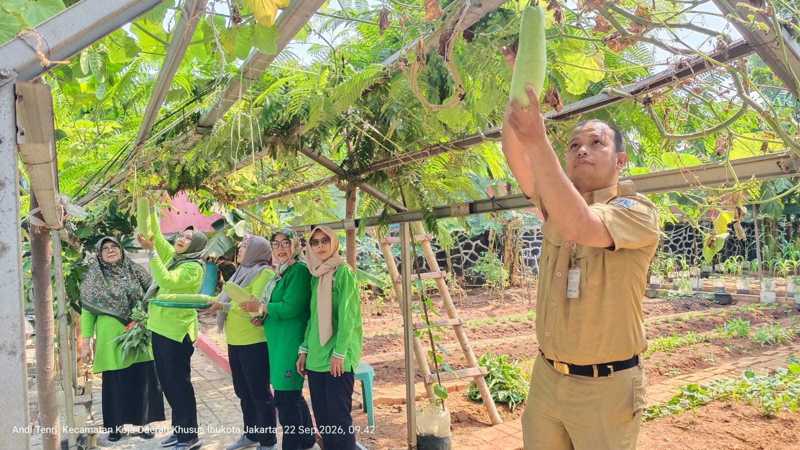 🌱 PANEN BERSAMA POKJA 3 DI PERTANIAN PERKOTAAN RPTRA RASELA 3