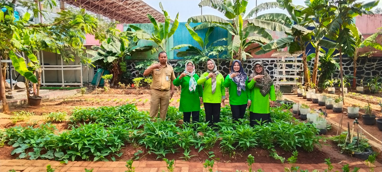 🌱 PANEN BERSAMA POKJA 3 DI PERTANIAN PERKOTAAN RPTRA RASELA 1