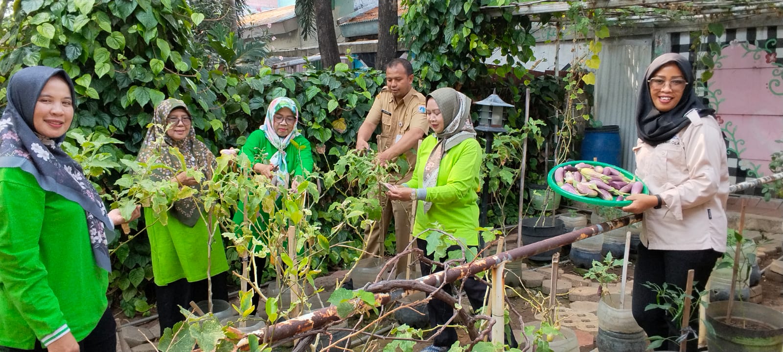 🌱 PANEN BERSAMA POKJA 3 DI PERTANIAN PERKOTAAN RPTRA RASELA 2