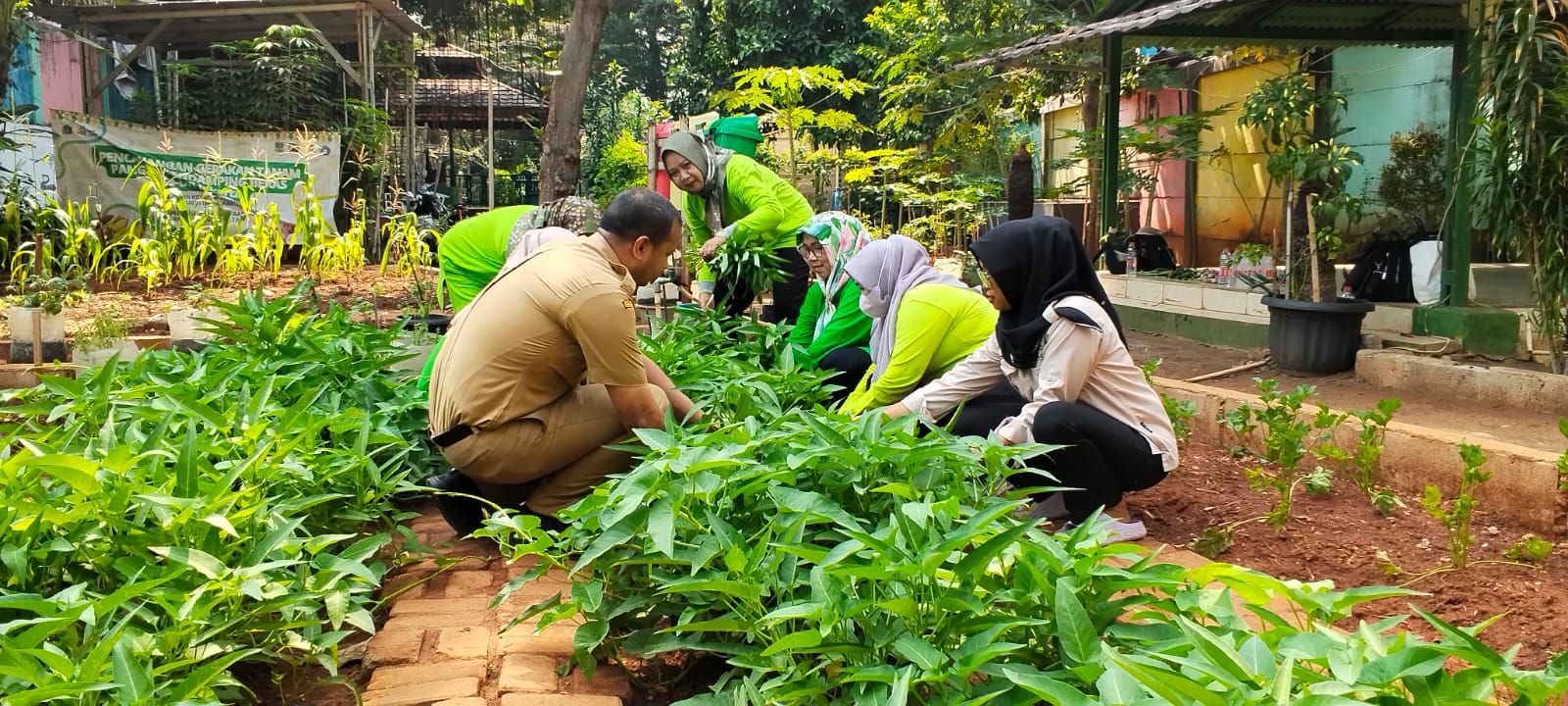 🌱 PANEN BERSAMA POKJA 3 DI PERTANIAN PERKOTAAN RPTRA RASELA 4