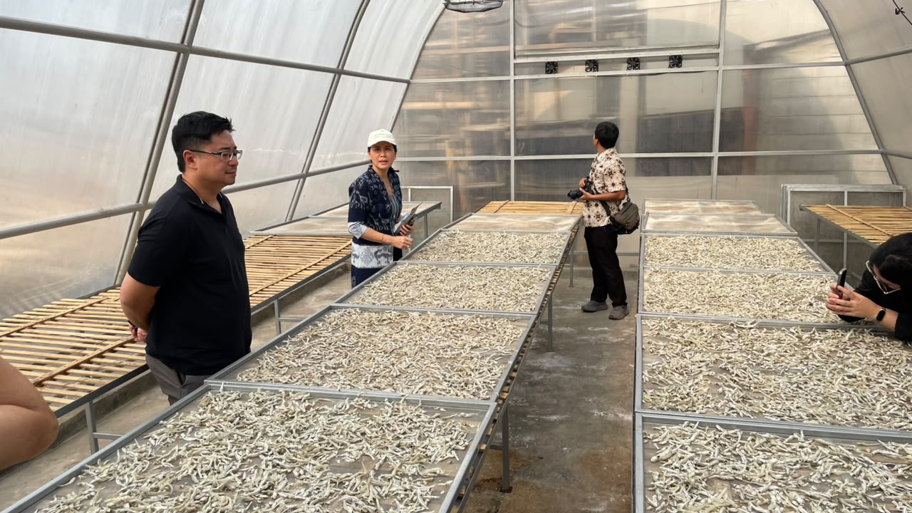 Wakil Menteri PPPA Kunjungi Kelurahan Kalibaru, Monitoring Solar Dryer Dome Penjemuran Ikan Asin 4