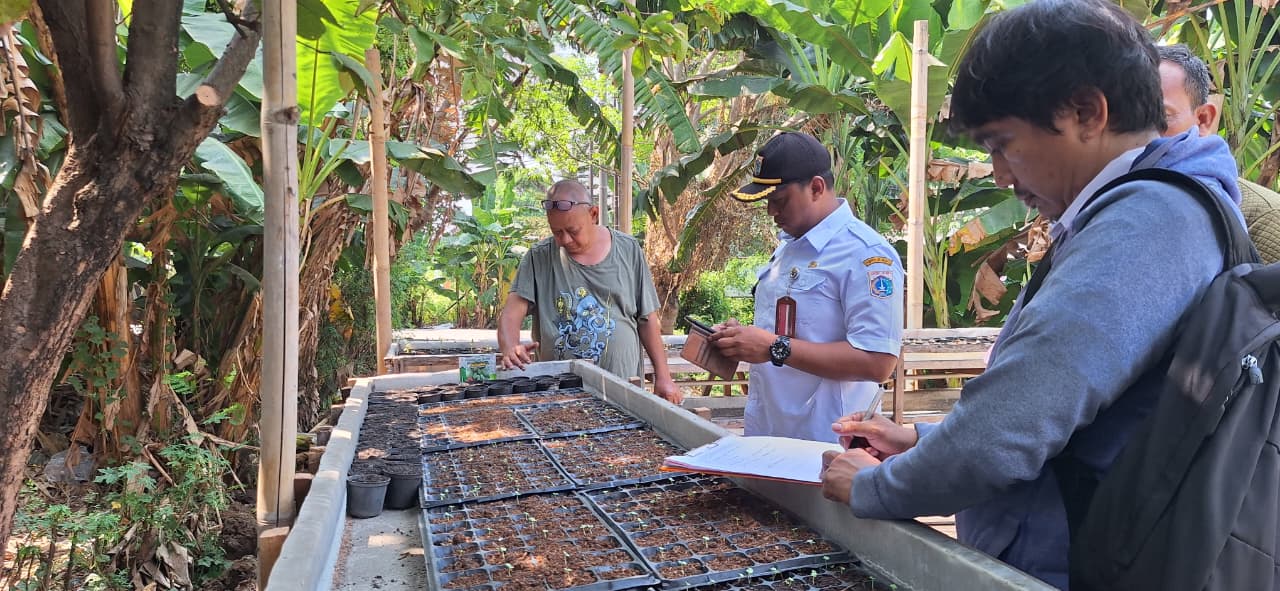 Kelurahan Semper Barat Monitoring Pembibitan Tanaman Pangan untuk Dukung Ketahanan Pangan 3