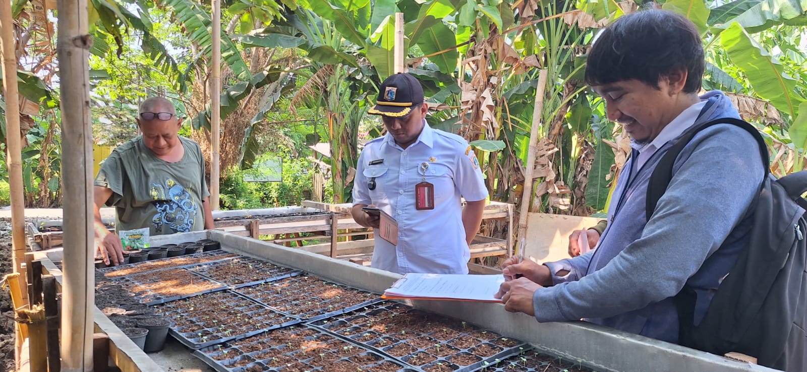 Kelurahan Semper Barat Monitoring Pembibitan Tanaman Pangan untuk Dukung Ketahanan Pangan 1