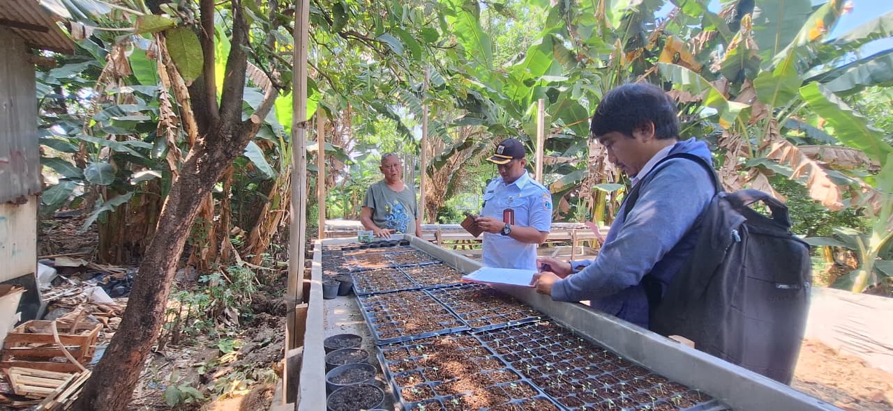 Kelurahan Semper Barat Monitoring Pembibitan Tanaman Pangan untuk Dukung Ketahanan Pangan 4