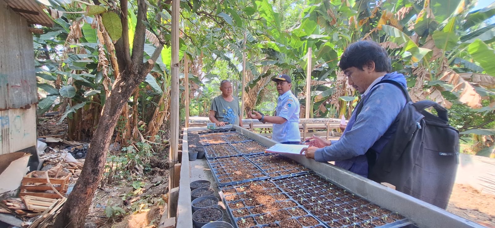 Kelurahan Semper Barat Monitoring Pembibitan Tanaman Pangan untuk Dukung Ketahanan Pangan 5