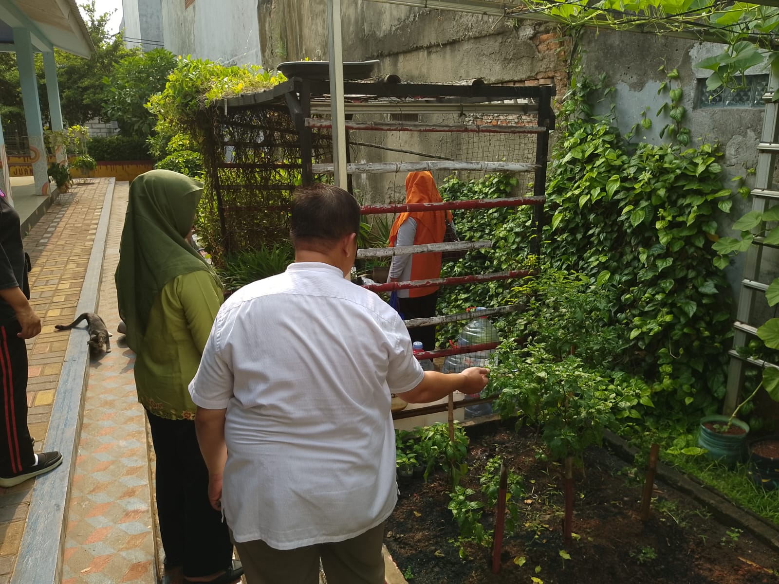 cegah DBD, Kelurahan Sukapura Gelar PSN 3M Plus di Area RPTRA Manunggal Juang 1