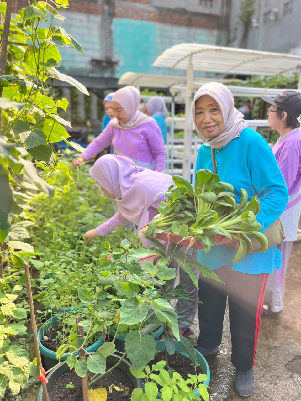Panen Bersama di Taman Hatinya PKK RW 04: Kolaborasi Mewujudkan Ketahanan Pangan dan Lingkungan Hijau di Kelurahan Pademangan Timur 3