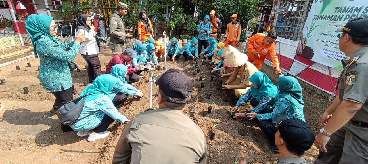 Tanam Serentak di Taman Hatinya PKK Dipo RW 010: Menanam Hari Ini, Menumbuhkan Manfaat untuk Masa Depan 4
