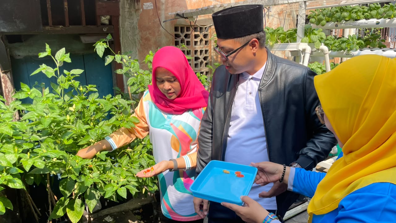 Panen Pakcoy di RW 014 Kelurahan Pademangan Barat Wujudkan Ketahanan Pangan Berbasis Masyarakat 1