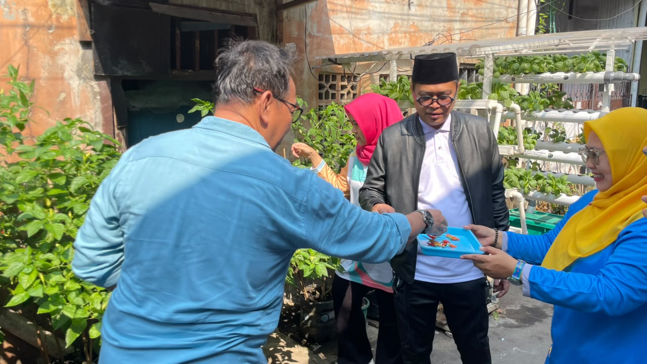 Panen Pakcoy di RW 014 Kelurahan Pademangan Barat Wujudkan Ketahanan Pangan Berbasis Masyarakat 2