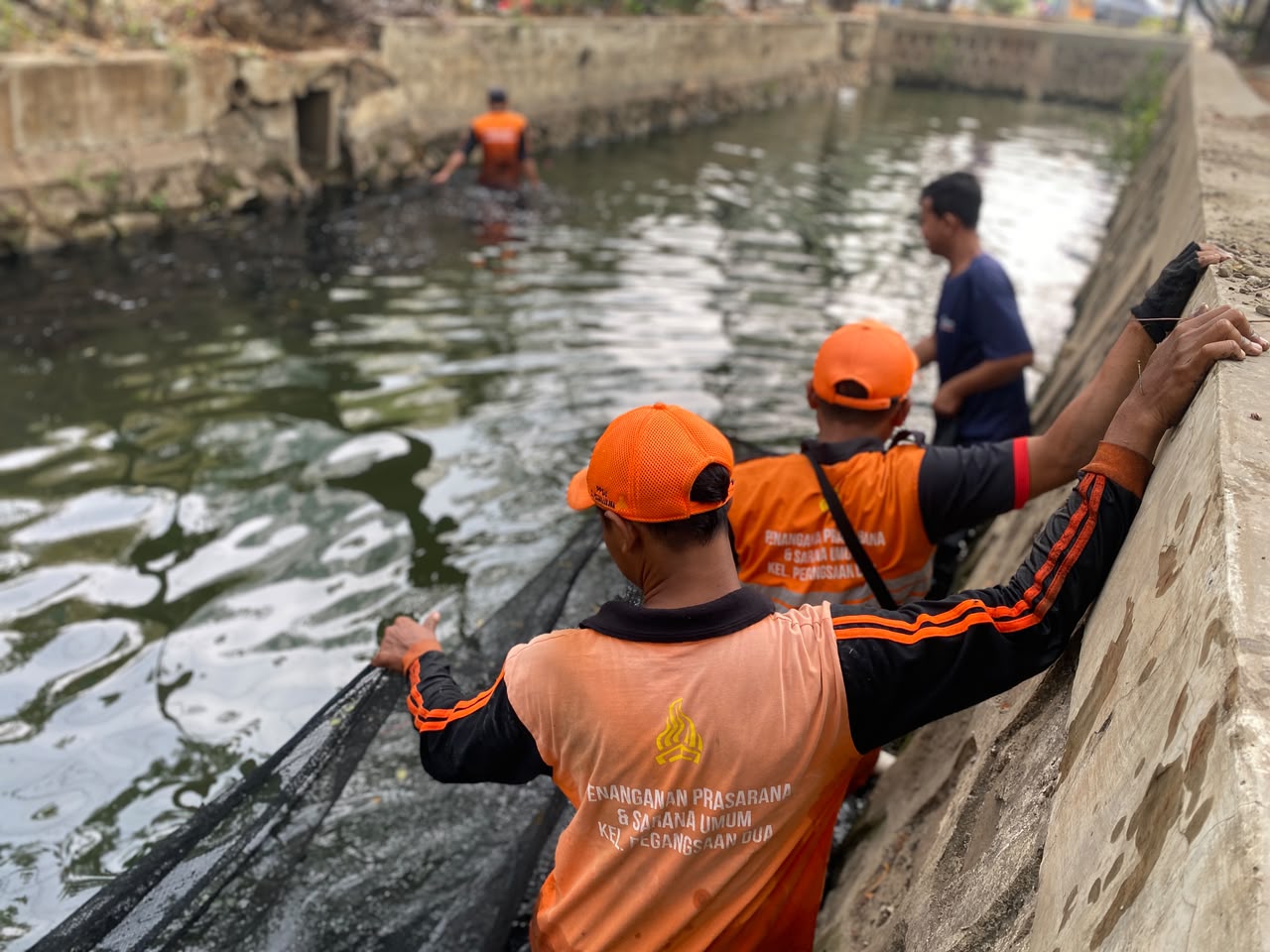 Sudin KPKP Jakarta Utara Gelar Operasi Penangkapan Ikan Sapu-Sapu di Kali Nias Raya Pegangsaan Dua 1