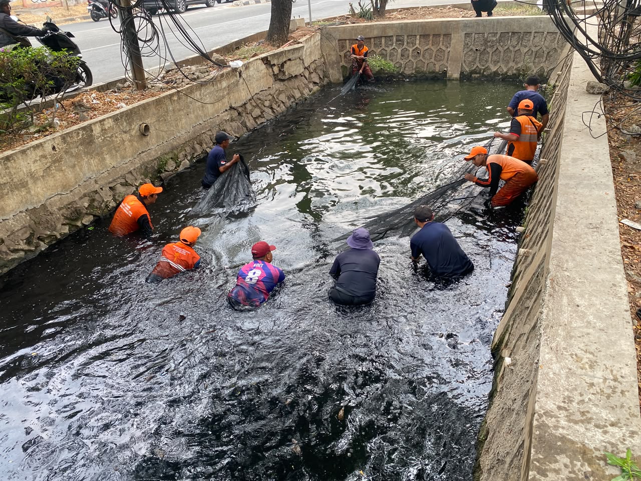 Sudin KPKP Jakarta Utara Gelar Operasi Penangkapan Ikan Sapu-Sapu di Kali Nias Raya Pegangsaan Dua 2